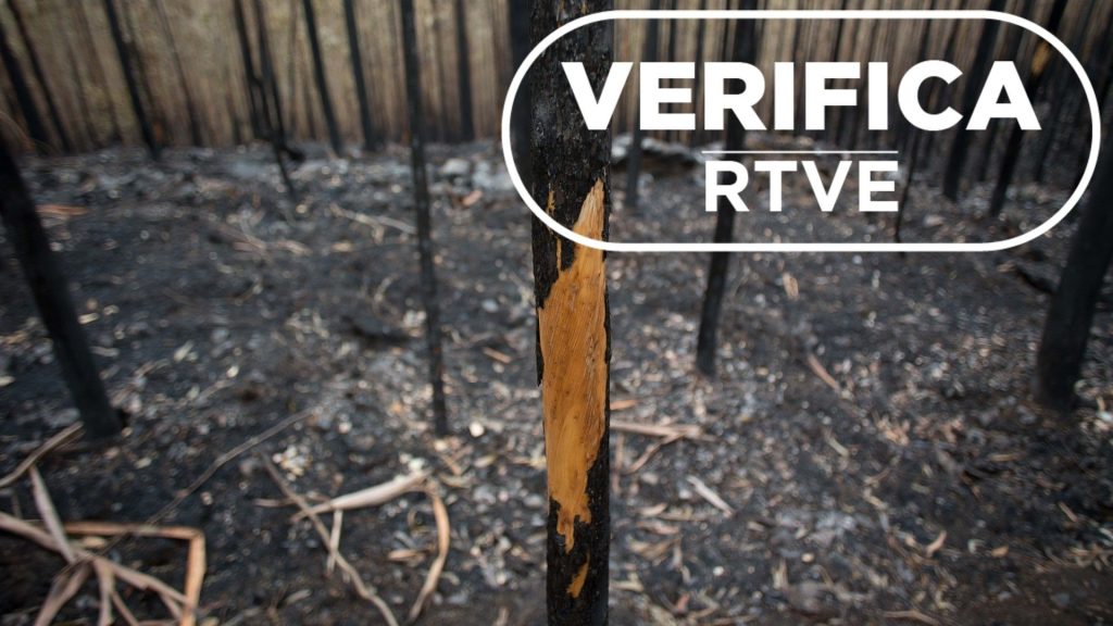 Teorías conspiranoicas sobre el futuro de los montes quemados: ¿qué dice la ley?