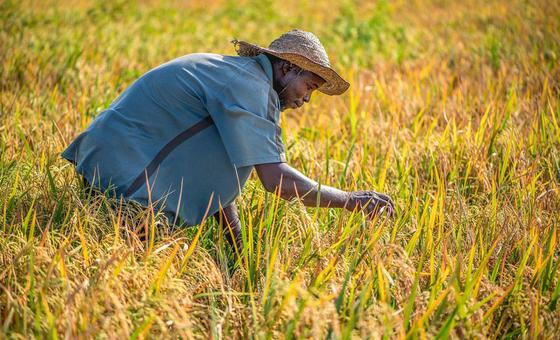 El calor extremo amenaza la salud de millones de trabajadores expuestos a la intemperie