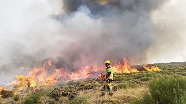 La lucha contra los incendios en Castilla y León, Galicia y Asturias continúa pero la climatología da un alivio