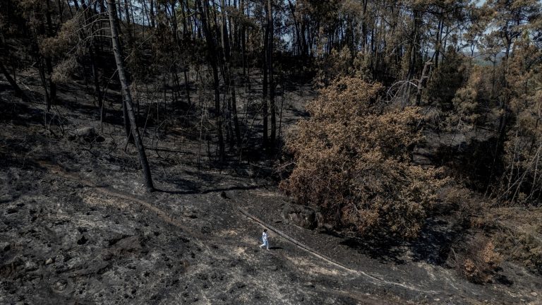 Solastalgia, la tristeza por perder el entorno natural: "Todo negro, todo quemado, esto es una pena"