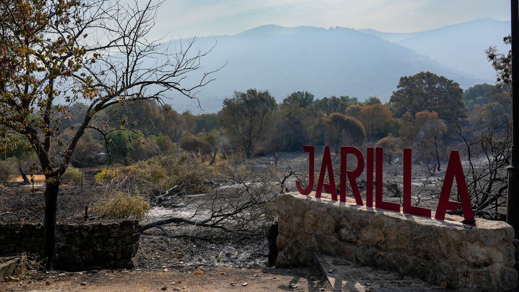 El Gobierno aprobará la zona de emergencia para los territorios afectados por los incendios forestales