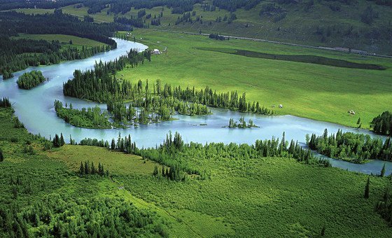 China logra mejorar la calidad del aire, pero los incendios forestales en otros países contrarrestan el logro