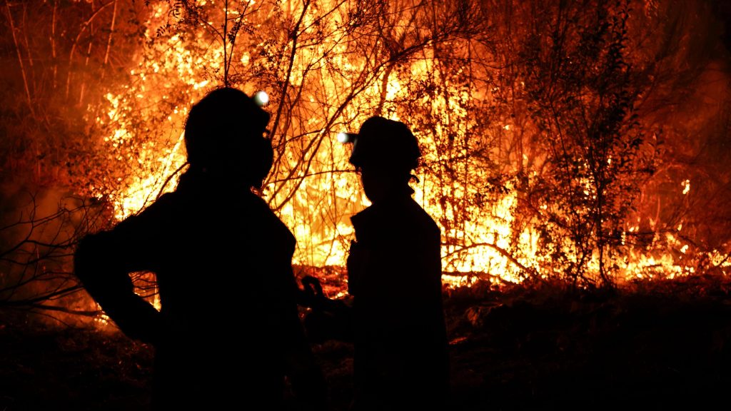 Marta Corella, ingeniera forestal: "Tenemos un territorio abandonado y sin gestión y esto es una tragedia humana"