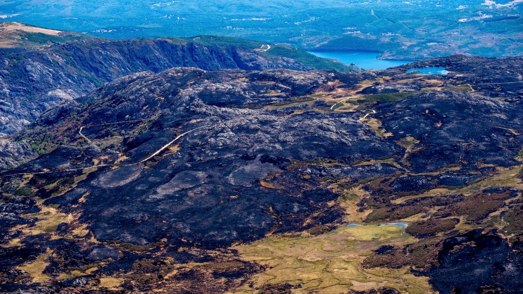 El suelo caliente y el olor a quemado: los expertos recorren el monte y reflexionan sobre qué hacer después del fuego