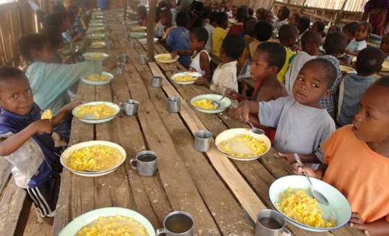 En el Día de la Alimentación, la ONU llama a la unidad para construir sistemas alimentarios sostenibles