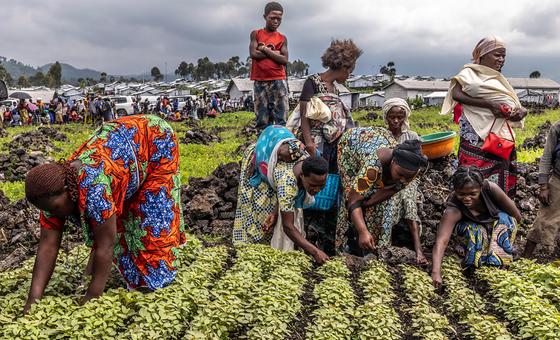 ¿Por qué hay más de 670 personas que sufren hambre?