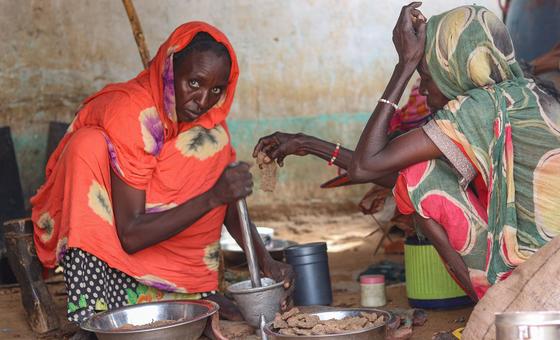 Ejecuciones sumarias, masacres, violaciones y demás atrocidades en El Fasher, Sudán