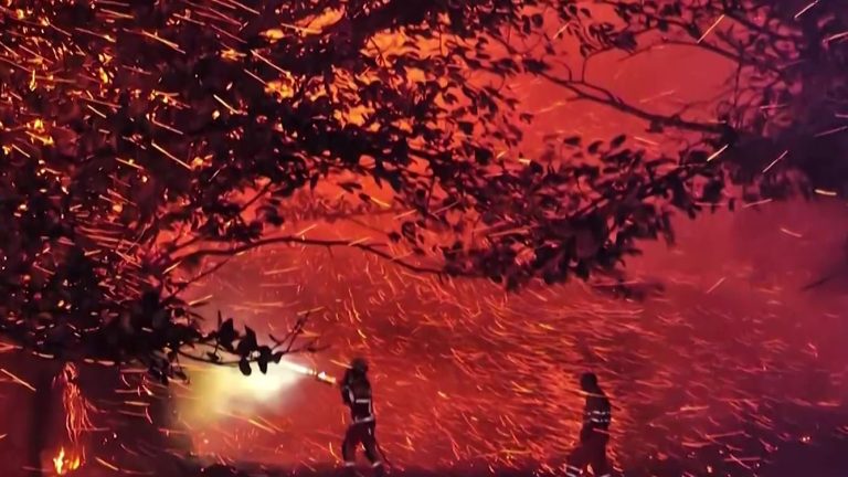 Desastre forestal: Varios árboles centenarios son devorados por las llamas en una sola noche en Cantabria