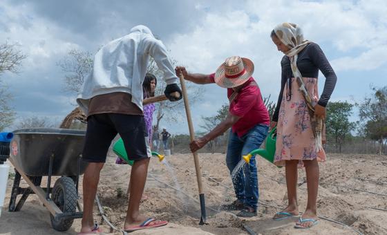 Los desastres causan pérdidas agrícolas globales por 3,26 billones de dólares en tres décadas