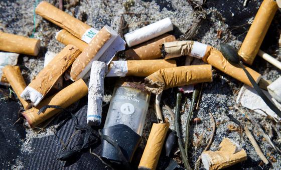 Nuevos avances en la lucha antitabaco y su impacto ambiental