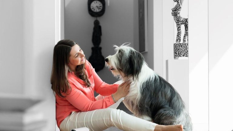 Convivir con un perro mejora la salud mental de los adolescentes