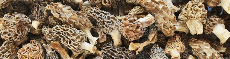 Setas comercializables después de un tratamiento