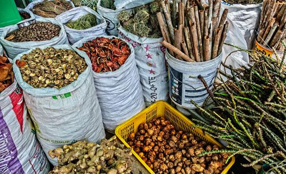 La medicina tradicional es ahora una realidad mundial