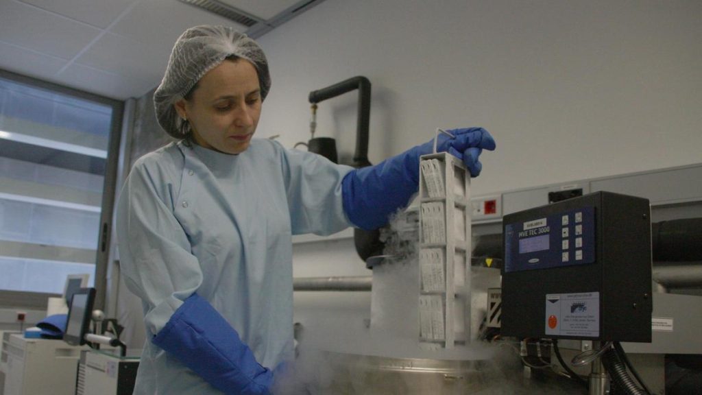 El Clínic, primer hospital de España en usar sangre de cordón umbilical donada para salvar a prematuros extremos