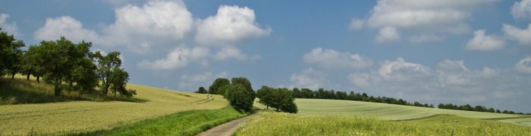Encefalitis por garrapata