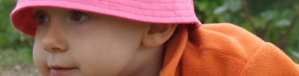 Infección por Haemophilus influenzae