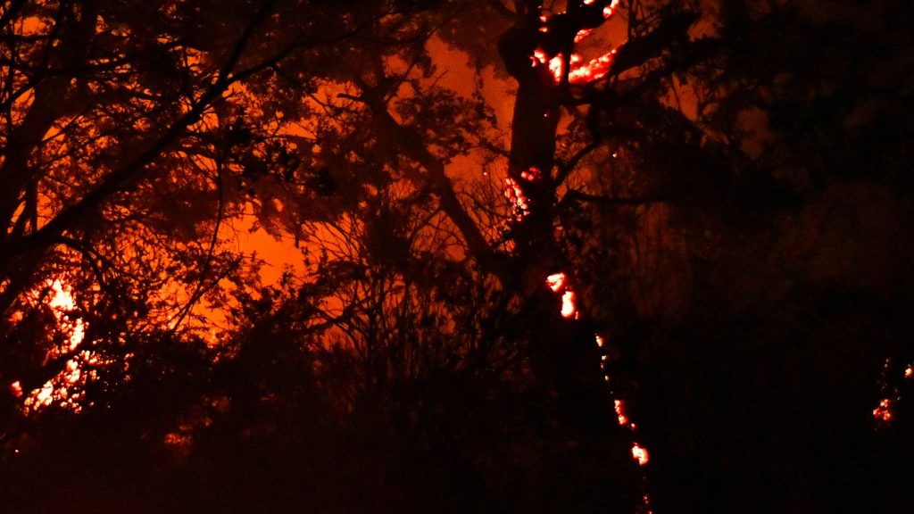 Declarado un incendio forestal en la ladera de Cabo Tiñoso (Cartagena)