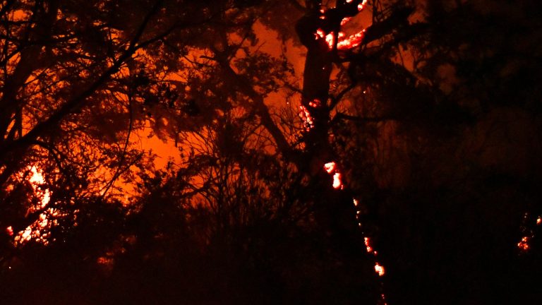 Declarado un incendio forestal en la ladera de Cabo Tiñoso (Cartagena)