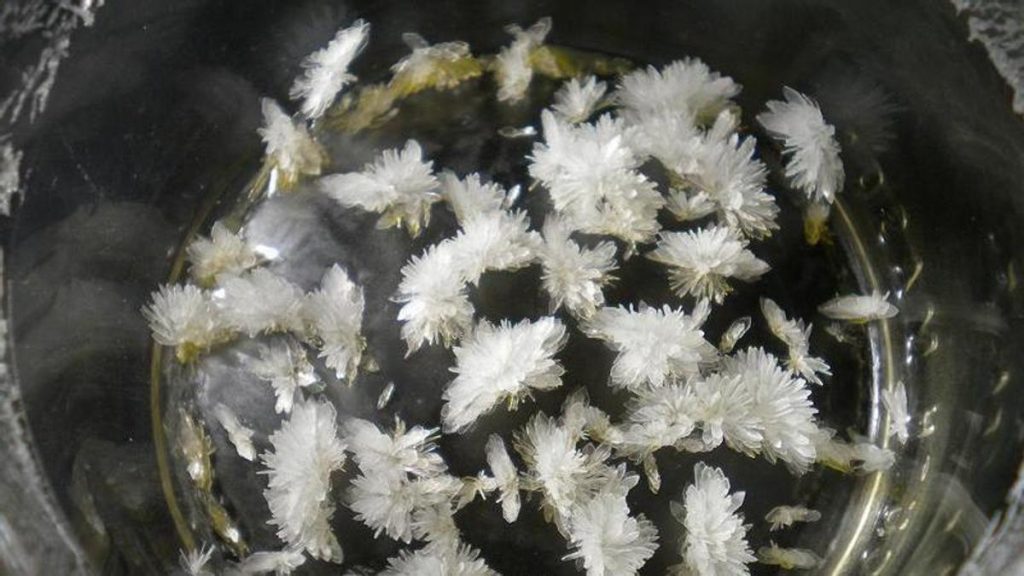 Una sola dosis de un psicodélico abre la puerta a reducir rápidamente los síntomas de depresión en pacientes que no responden a otros fármacos