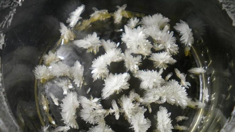 Una sola dosis de un psicodélico abre la puerta a reducir rápidamente los síntomas de depresión en pacientes que no responden a otros fármacos