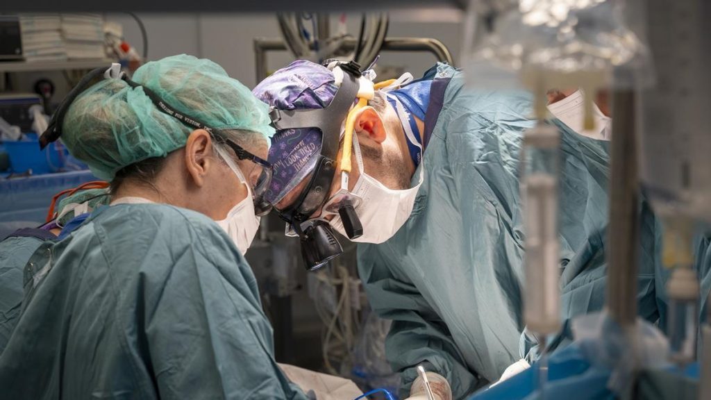 Vall d'Hebron extirpa un tumor hepático inoperable "del tamaño de una pelota de balonmano"