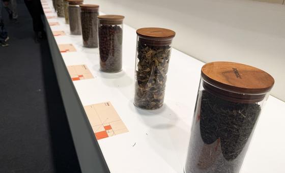 Por qué las plantas medicinales importan en el Día Mundial de la Vida Silvestre