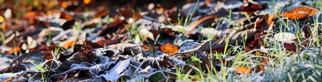 Temperaturas extremas