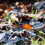 Temperaturas extremas