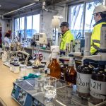 La proteína AP2A1 podría alargar la vida y prevenir el cáncer: el descubrimiento de unos científicos de Osaka